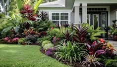 a house with lots of plants in the front yard and on the side of it