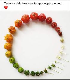 several different types of vegetables arranged in the shape of a circle