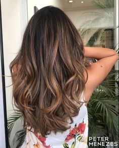 Brown Hair With Brassy Highlights, Honey Color Highlights, Honey Colored Highlights, Subtle Honey Highlights, Warm Brown Hair Balayage, Warm Brunette Hair Color With Highlights, Brunnete Balayage Brunettes, Brunnete Hair Ideas Colour, Honey Lowlights