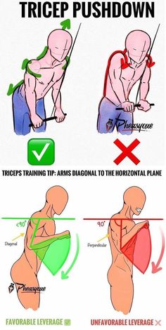 an image of how to do squats on the back and chest with instructions for proper exercises