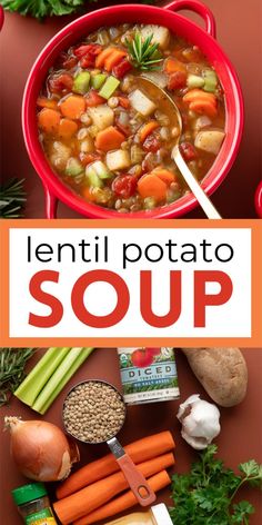 lentil potato soup with carrots, celery and parsley in a red bowl