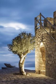 an olive tree in front of a stone building with stairs leading up to the water