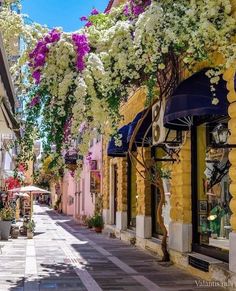 an empty street lined with lots of flowers and umbrellas on the side of buildings