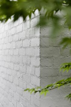 a black and white photo of a brick wall with green leaves on it's side