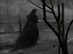 a woman in a long dress standing next to a tree and fence on a foggy day