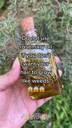 Rosemary Uses Diy, Herbs To Grow Hair, Coconut Oil And Rosemary Oil Hair Growth, Boiling Rosemary For Hair, Castor Oil Rosemary Hair Growth, Diy Rosemary Oil For Hair Growth, Homemade Oil For Hair Growth, Rosemary Water For Hair Growth Results, How To Make Rosemary Oil