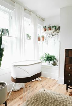 a living room filled with furniture and potted plants