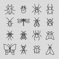 different types of insects in black and white