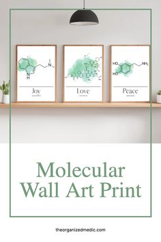 three watercolor art prints on a shelf with the words, love and peace above them