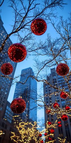 christmas decorations are hanging from the branches of trees in front of tall buildings at night