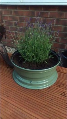 a potted plant sitting on top of a wooden table