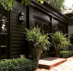 two potted plants on the side of a black house with brick walkway and steps