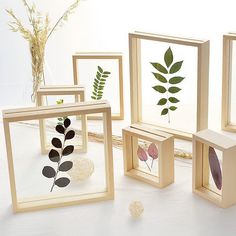 four wooden frames with pressed flowers and leaves in them on a white surface, next to a plant