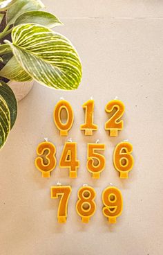 the numbers are made out of plastic and have yellow letters on them next to a potted plant