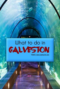 What to do in Galveston Texas USA What To Do In Galveston Texas, Moody Gardens Galveston, The Strand Galveston Texas, Gavelston Texas, Texas Beach Vacation, Galveston Texas Vacation, Galveston Texas Beach, Freeport Texas, Texas Travel Weekend Getaways