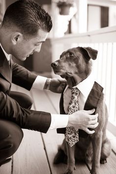 a man in a suit petting a dog wearing a tie and vest on his lap