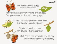 an insect poem with butterflies on it