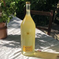 a bottle of wine sitting on top of a table next to a potted plant