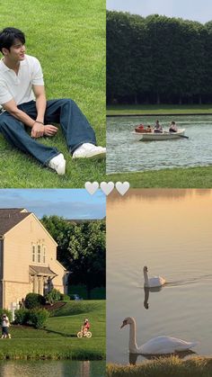 two pictures with people sitting on the grass and swans swimming in the water