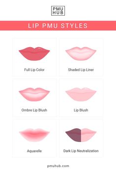 Lip Neutralization, Liner Styles, Lip Color Tattoo, Lip Liner Tattoo, Tattoo Artist Tips, Lip Permanent Makeup, Ombre Lip, Lip Blushing