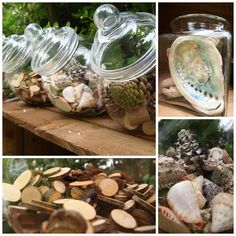 four different pictures of glass jars filled with various types of shells and seashells