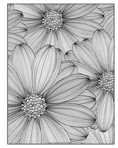 black and white drawing of daisies in a square frame with the words,'flowers are