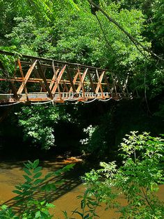 a wooden bridge over a river surrounded by trees