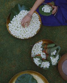 three plates with food on them sitting on the ground next to two bowls filled with white flowers