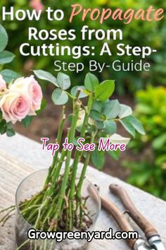 roses in a glass vase sitting on top of a table next to gardening shears