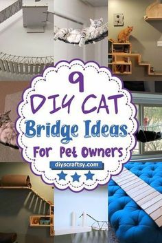 there is a collage of pictures with cats and furniture in the background that says diy cat bridge ideas for pet owners