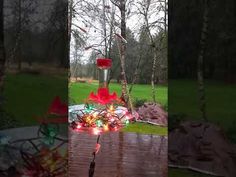 a red bird feeder sitting on top of a wooden table next to a green field