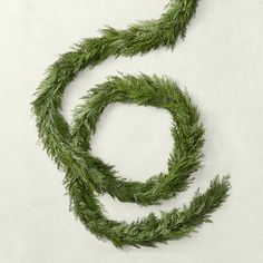 an image of a green plant that is curled up in the shape of a letter s