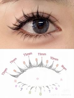 Small Eyelashes Extensions, Small Eyes Eyelash Extensions, Spikey Lash Map, Baby Doll Lashes, Eyelashes For Small Eyes, Asian Eyelash Extensions, Dolly Lashes, Girl Maintenance, Lash Maps