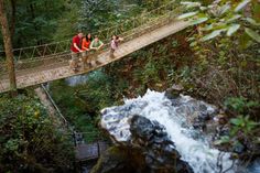 three people walking across a suspension bridge over a river in the forest with waterfall below