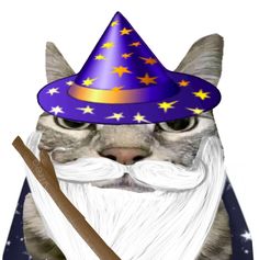 a cat wearing a wizard's hat and holding a stick with stars on it