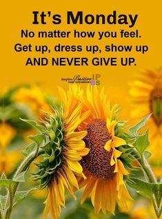 a sunflower with the words it's monday no matter how you feel get up, dress up, show up and never give up