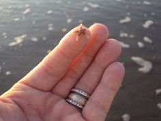 a person holding two rings in their hand on the beach with water and sand behind them