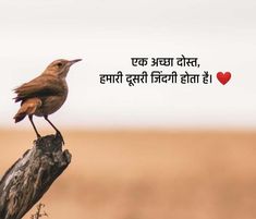 a bird sitting on top of a tree branch with a quote in the background that reads,