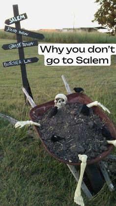 a wheelbarrow filled with dirt and skulls sitting on top of a lush green field