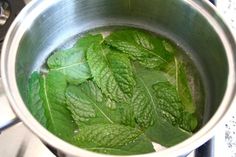 a pot filled with green leaves on top of a stove