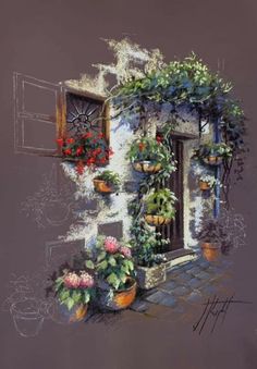 a drawing of a house with potted plants on the front door and windowsill