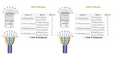 three types of wires with different colors and sizes, all labeled in the following words