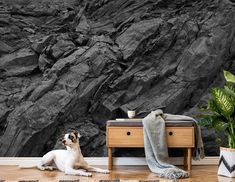 a dog is sitting on the floor in front of a mountain wallpapered with black and white rocks