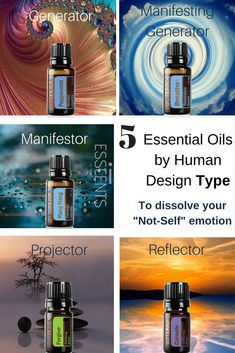 Each Human Design Type has a "Not-Self" emotion. It's okay to feel the emotion because it's like a compass that tells you that you are off track. If you want to move through the emotion and not get stuck in it, you can use essential oils! :) Generator - Peppermint for Frustration Manifesting Generator - doTERRA Breathe blend for Anger and Frustration Manifestor - Ylang Ylang for Anger Projector - doTERRA Forgive blend for Bitterness Reflector - doTERRA Console blend for Dissapoinment Doterra Console, Easy Peasy Homeschool, Doterra Forgive, Hd Projector, Manifesting Generator, Doterra Breathe, Essential Oil Usage, Doterra Blends