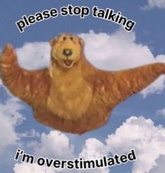 there is a bear flying in the sky with words above it that read please stop talking i'm overstimulated