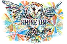 an owl with wings and the words shine on