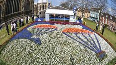 a large flower display in the middle of a field with people standing around it and looking at it