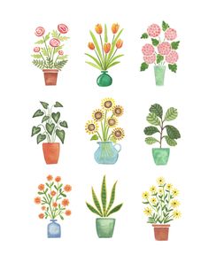 a bunch of flowers that are in vases on a white background with watercolor paint