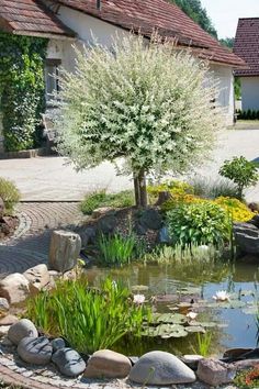 a small pond surrounded by rocks and plants in front of a house with a red roof