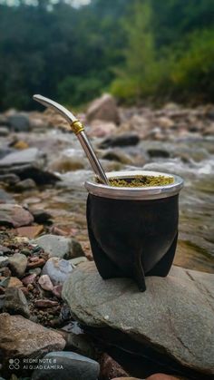 a bowl with a spoon in it sitting on top of rocks next to a river